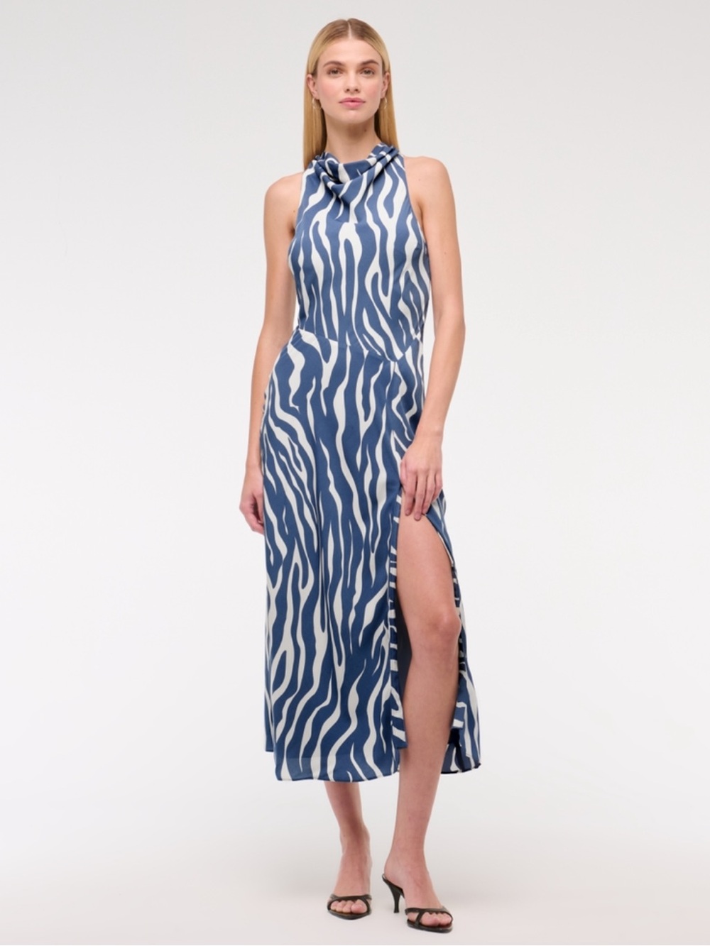Abercrombie & Fitch Blue and White Zebra-Pattern Midi Dress